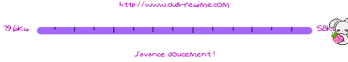 reglette4138.gif